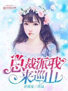 The president sent me to patrol the mountain